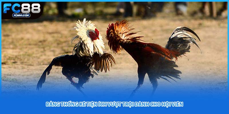 Bảng thống kê tiện ích vượt trội dành cho hội viên