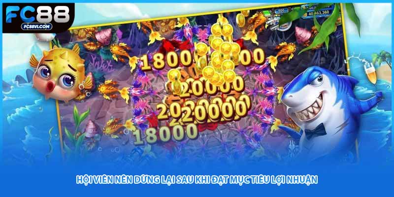 Hội viên nên dừng lại sau khi đạt mục tiêu lợi nhuận