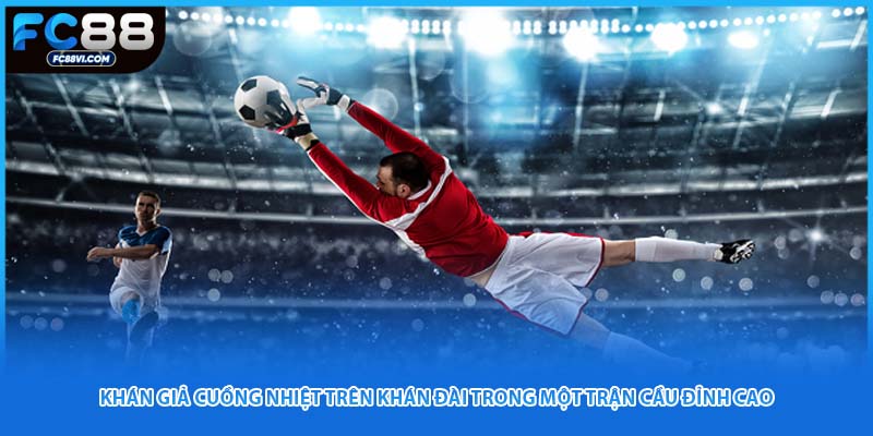 Khán giả cuồng nhiệt trên khán đài trong một trận cầu đỉnh cao