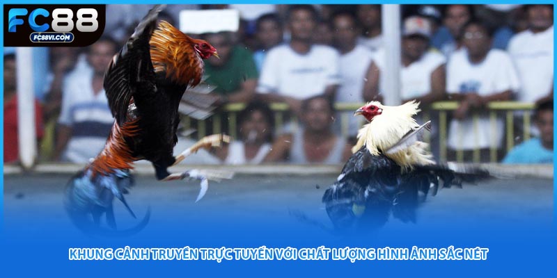 Khung cảnh truyền trực tuyến với chất lượng hình ảnh sắc nét