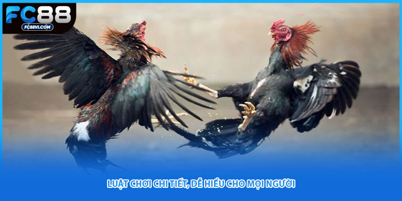 Luật chơi chi tiết, dễ hiểu cho mọi người