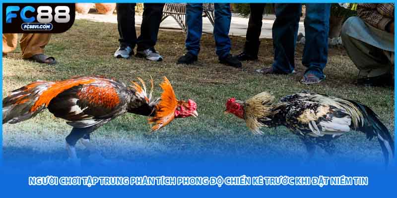 Người chơi tập trung phân tích phong độ chiến kê trước khi đặt niềm tin