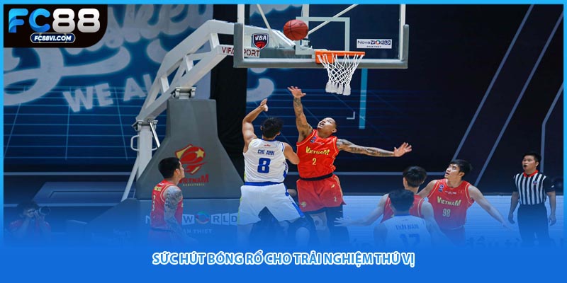 Sức hút bóng rổ cho trải nghiệm thú vị