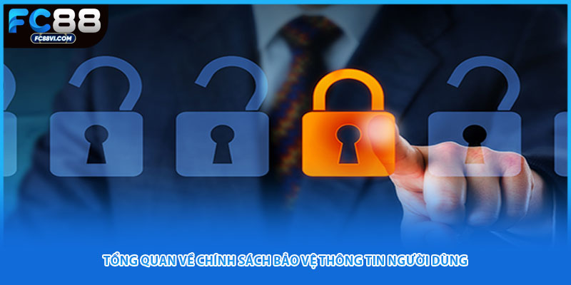 Tổng quan về chính sách bảo vệ thông tin người dùng