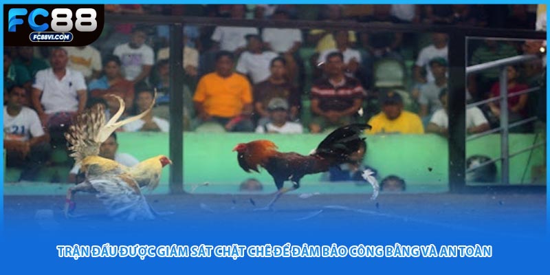 Trận đấu được giám sát chặt chẽ để đảm bảo công bằng và an toàn